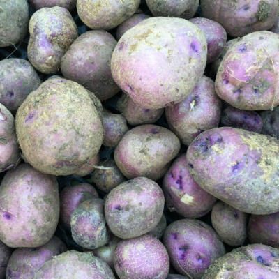 Potatoes