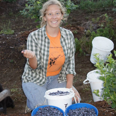 Shingle Mill Blueberries