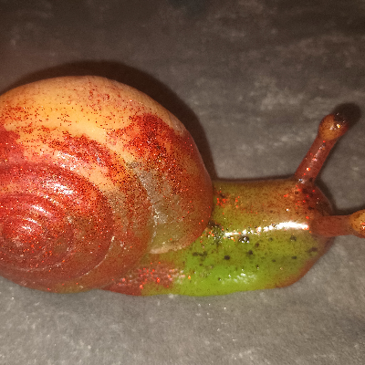 Snail