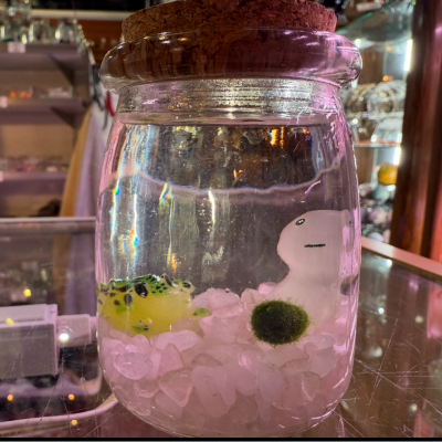 Marimo Moss Balls