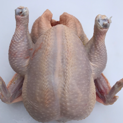 Pasture Raised Chicken