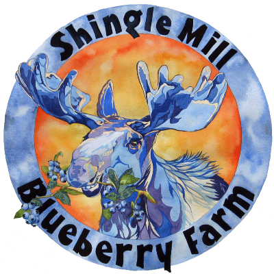 Shingle Mill Blueberries