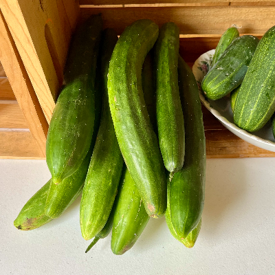 Produce And Plant Starts
