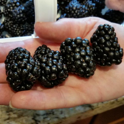 Kiowa Blackberries