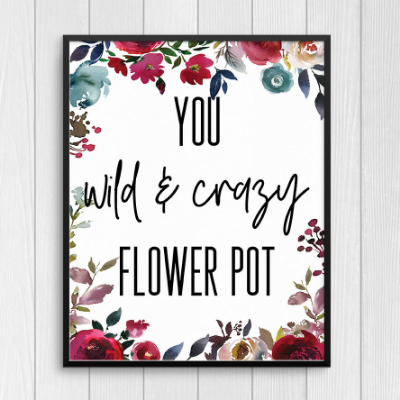 Parks And Recreation - "Leslie Knope Compliments" 8x10 Prints