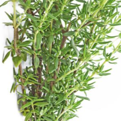 Thyme
