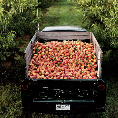 The Peach Truck Cookbook