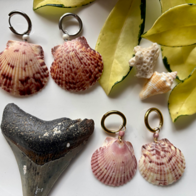 Shell Earrings
