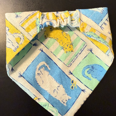 Cat Bandana