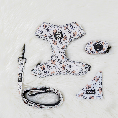 Frenchie Dog Harness