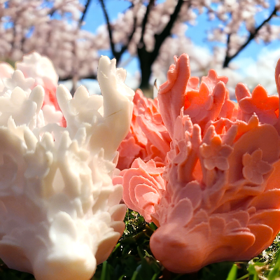 Cherry Blossom Dragon