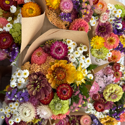 Farm Fresh Cut Flowers