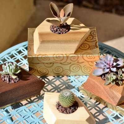 Sample Of Wood Planters