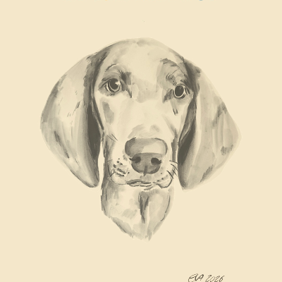Customized Hand Drawn Pet Portait Example