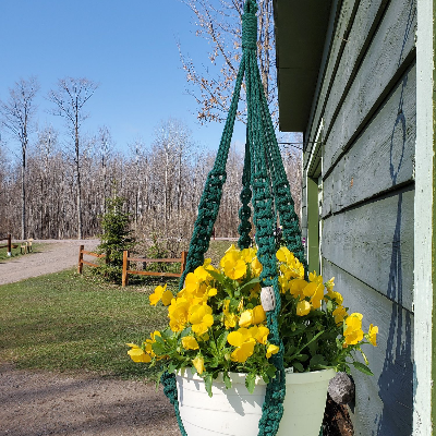 All Weather Plant Hangers