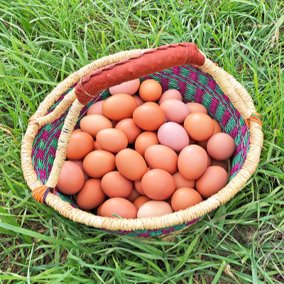 One Dozen All Natural Eggs