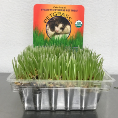 Organic Pet Grass