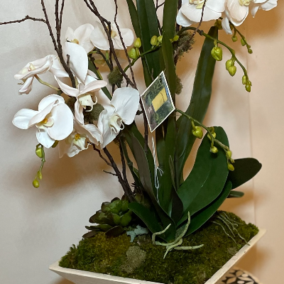 Artificial Orchid Composition