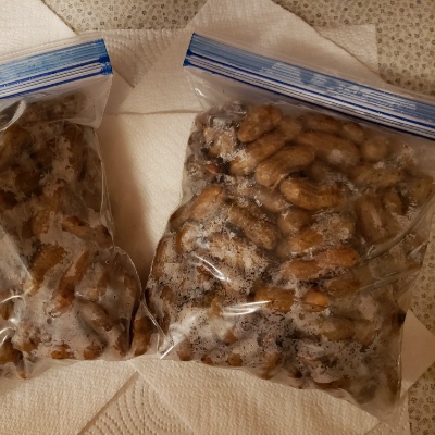 Boiled Peanuts,  Regular And Cajun Styles