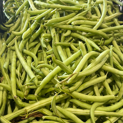 Organic Bush Beans - MADE BY A FARMER ORGANIC PRODUCE - Marketspread