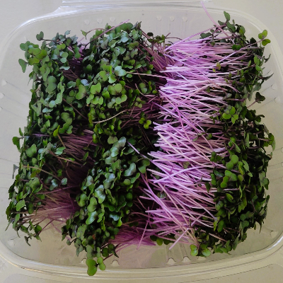 Microgreens