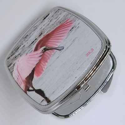 My Photography Roseate Spoonbill & Reddish Egret