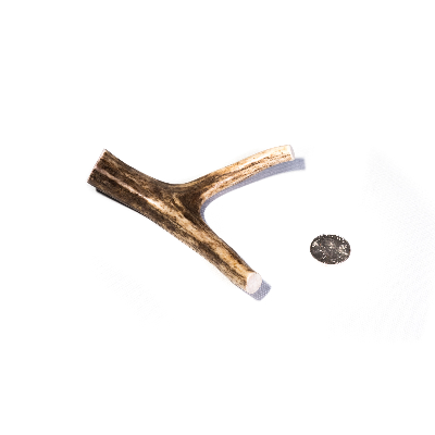 Petite Whole Antler Dog Chew (Deer Or Elk)