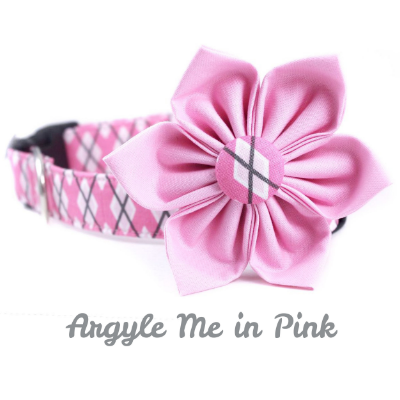 Dog Collar Flower Set