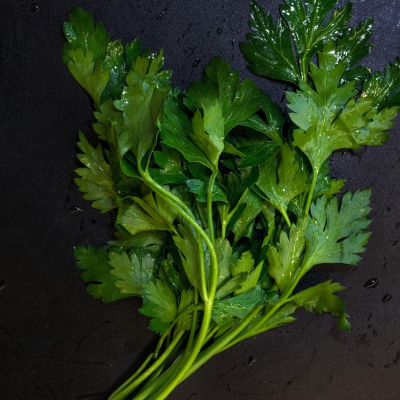 Italian Parsley