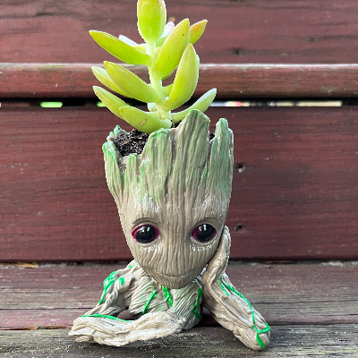 Thinking Groot Pot With Succulent