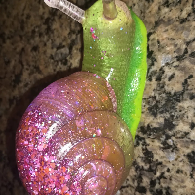 Snail
