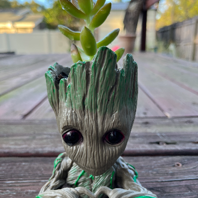 Love Groot With Succulent