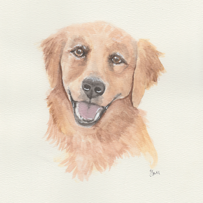 Pet Prints
