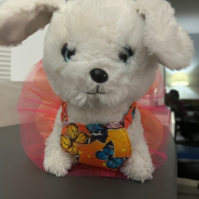 Summer Doggy Tutu's