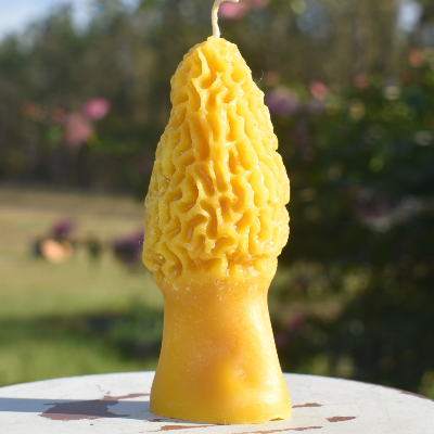 Beeswax Candles