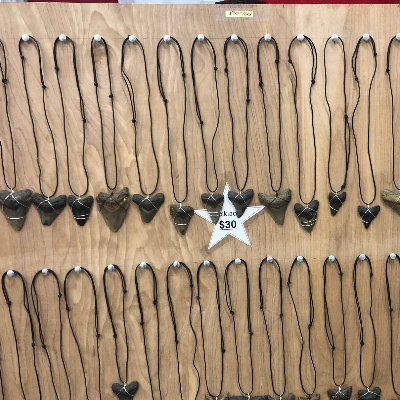 Fossil Shark Tooth Jewelry
