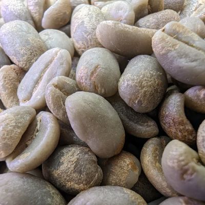 Peru Liz Colina Dark Roast - 2 Lb