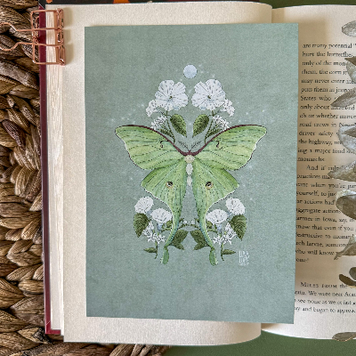 Luna Moth Art Print And Sticker