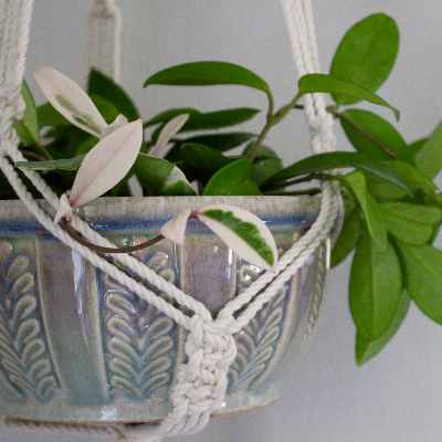 Macrame Plant Hangers