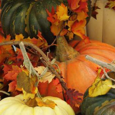 Mulberry Lanes Farm Market