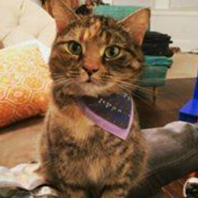 This Is One Of Buddies Modeling His New Bandana