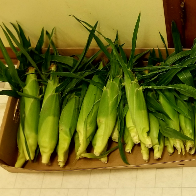 Garden Fresh Vegetables & Fruits