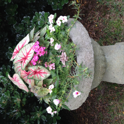 Container Garden By Peterson's Petals