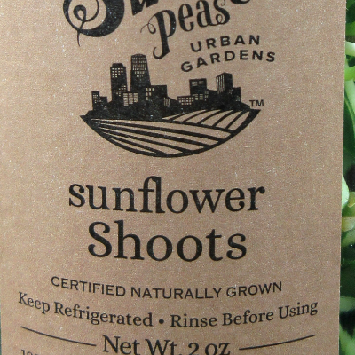 Sunflower Shoots