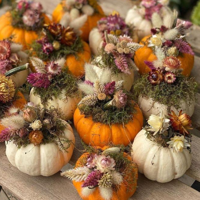 Dried Flowers