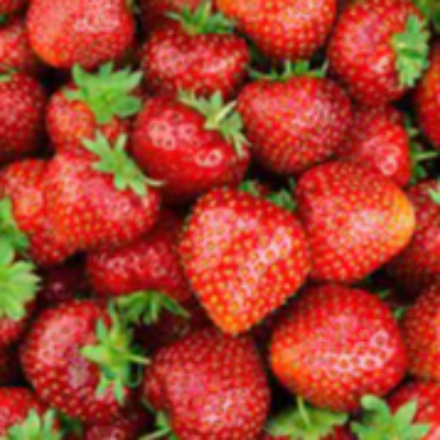 Strawberry Quart