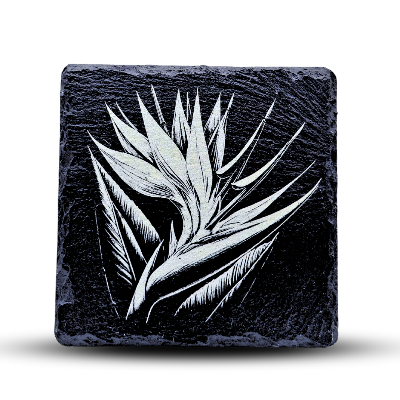 Engraved Coasters/Decorative Pieces