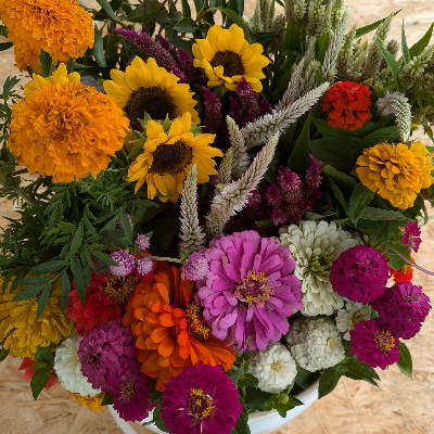 Cut Flower Bouquets & Arrangements