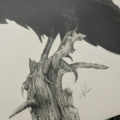 "Black Bird" - Original Drawing