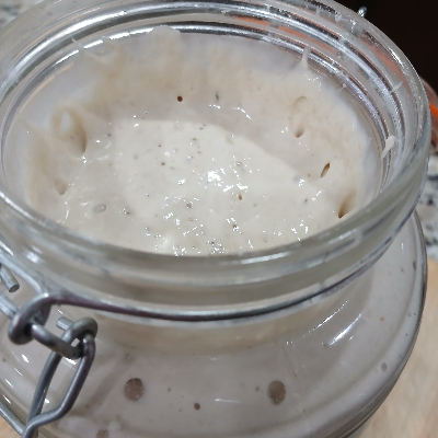 Sourdough Bread Loaves